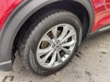 Used 2020 Ford Explorer XLT w/ Equipment Group 202A image 6