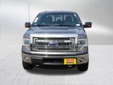 Used 2014 Ford F150 XLT w/ Equipment Group 302A Luxury image 2