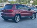 Used 2012 Volkswagen Tiguan SE image 2