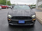 Certified 2022 Ford Mustang Premium w/ Equipment Group 201A image 3