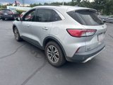 Used 2020 Ford Escape SEL image 5