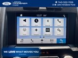 Used 2018 Ford F150 XLT w/ Equipment Group 302A Luxury image 4