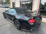 Used 2023 Ford Mustang Premium image 5