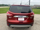 Used 2014 Ford Escape Titanium image 4