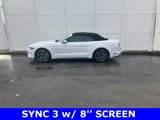 Used 2020 Ford Mustang Premium image 4