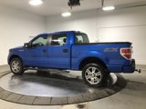 Used 2014 Ford F150 STX w/ Equipment Group 201A Mid image 4