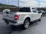 Used 2019 Ford F150 XLT w/ Equipment Group 302A Luxury image 4