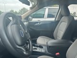 Used 2020 Ford Escape SE image 4