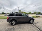 Used 2011 Ford Escape XLT w/ 202A Rapid Spec Order Code image 6