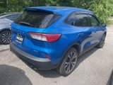 Used 2021 Ford Escape SE w/ SE Sport Appearance Package image 2