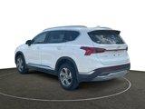 Used 2023 Hyundai Santa Fe SEL w/ Premium Package image 3