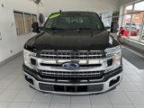 Used 2019 Ford F150 XLT w/ Equipment Group 302A Luxury image 2