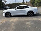 Used 2021 Ford Mustang Coupe w/ Equipment Group 101A image 4