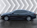 Used 2020 Hyundai Sonata SE w/ Cargo Package image 3