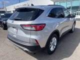 Used 2020 Ford Escape SE image 5