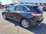 Used 2022 Ford Escape SE image 3