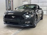 Used 2015 Ford Mustang Coupe w/ Equipment Group 051A image 3