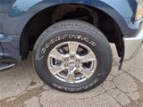 Used 2017 Ford F150 XLT w/ Equipment Group 302A Luxury image 4