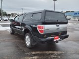 Used 2013 Ford F150 Platinum image 4