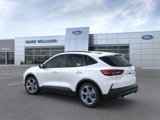 New 2025 Ford Escape ST-Line w/ Tech Pack #1 image 4