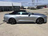 Used 2021 Ford Mustang Premium image 2