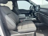 Used 2021 Ford F150 XLT w/ Equipment Group 302A High image 3