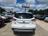 Used 2014 Ford Escape SE w/ Equipment Group 201A image 4