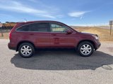 Used 2008 Honda CR-V EX-L image 6