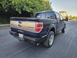 Used 2010 Ford F150 Platinum image 2