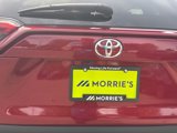 Used 2021 Toyota RAV4 XLE Premium image 5