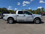 Used 2011 Ford F150 XLT w/ XTR Pkg image 6