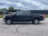 Used 2013 Ford F150 XLT w/ Luxury Equipment Group image 2