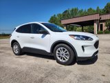 Used 2022 Ford Escape SE image 2