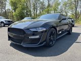 Certified 2019 Ford Mustang Premium w/ Enhanced Security Package image 4