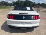 Used 2019 Ford Mustang Premium w/ Pony Package image 6