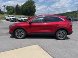 Used 2020 Ford Escape SEL image 4