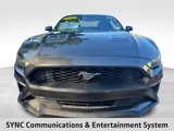 Used 2018 Ford Mustang Coupe image 3