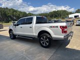 Used 2019 Ford F150 XLT w/ Equipment Group 302A Luxury image 4