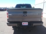 Used 2010 Ford F150 FX4 image 6