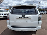 Used 2023 Toyota 4Runner SR5 Premium image 5