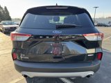 Used 2020 Ford Escape SE image 4