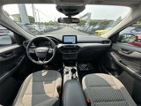 Certified 2022 Ford Escape SE w/ Convenience Package image 3