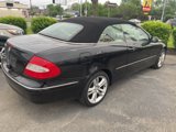 Used 2007 Mercedes-Benz CLK 350 Cabriolet image 6