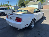 Used 2005 Ford Mustang Premium image 5