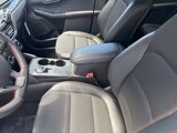 New 2025 Ford Escape ST-Line Elite w/ Class II Trailer Tow Package image 6