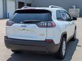 Used 2020 Jeep Cherokee Latitude image 3