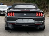 Used 2018 Ford Mustang Premium w/ Equipment Group 201A image 6