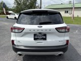 Used 2020 Ford Escape SE image 6