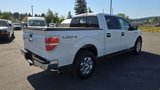 Used 2014 Ford F150 XLT w/ Equipment Group 302A Luxury image 4