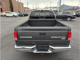 Used 2003 Dodge Dakota SLT image 4